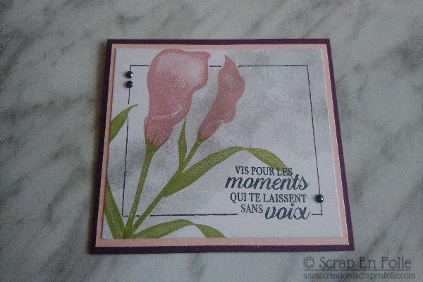 Carte – Calla Éternelle